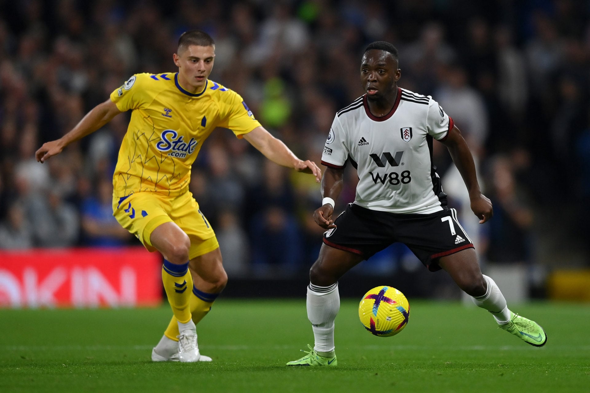 Fulham FC v Everton FC - Premier League