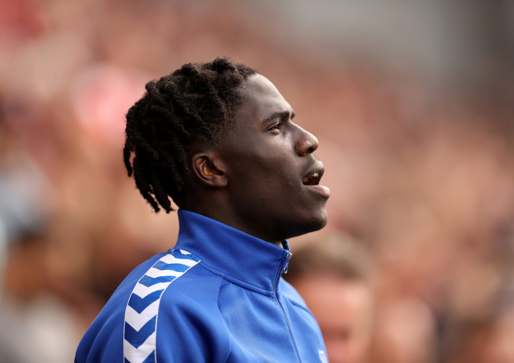 Brentford FC v Everton FC - Premier League