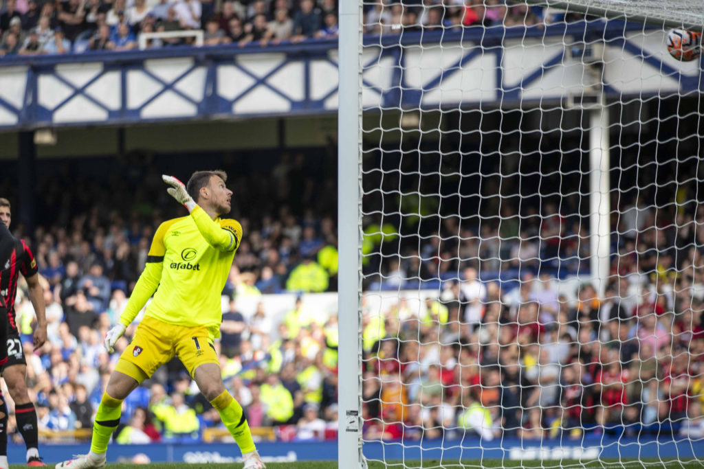 Everton FC v AFC Bournemouth - Premier League