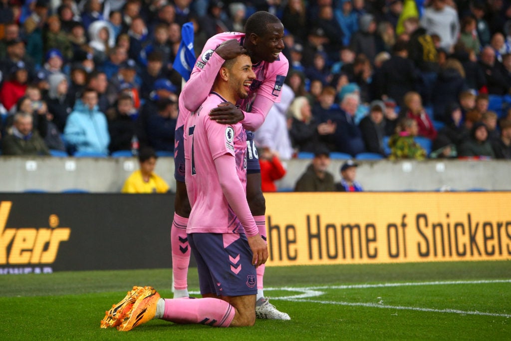 Brighton & Hove Albion v Everton FC - Premier League