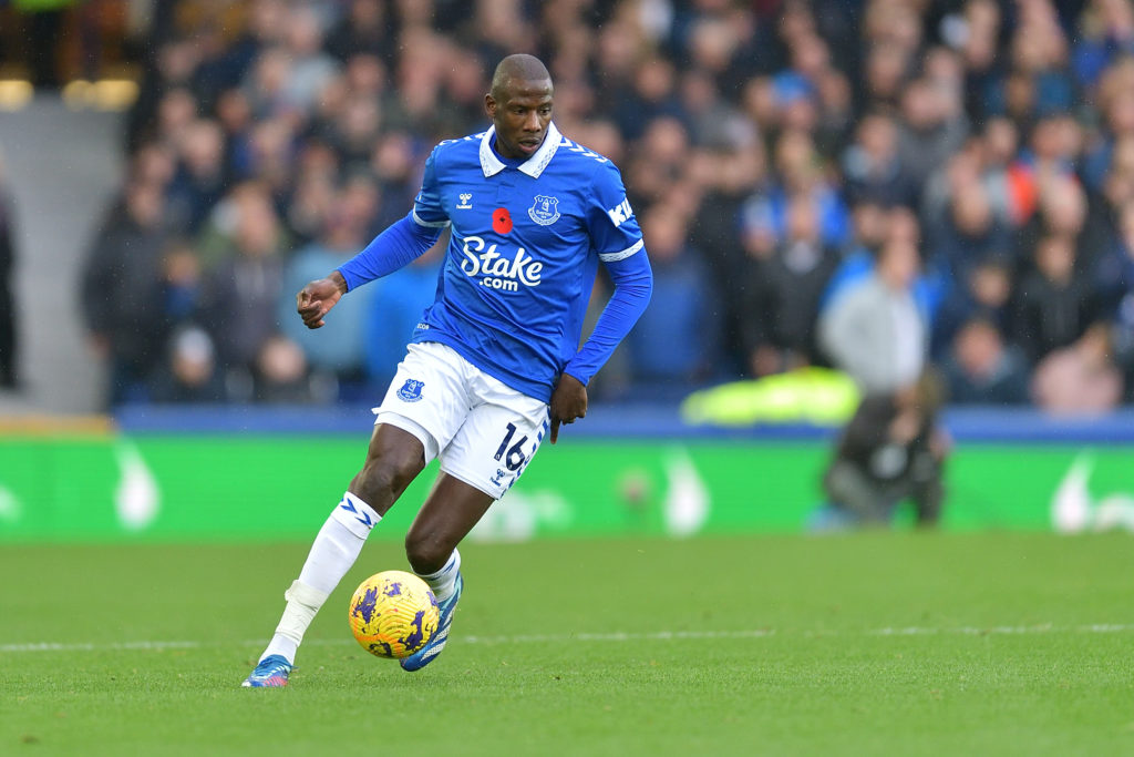 Everton FC v Brighton & Hove Albion - Premier League