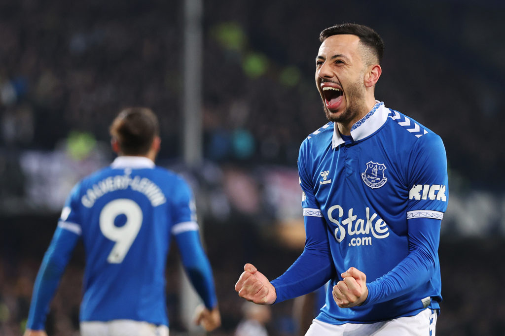 Everton FC v Newcastle United - Premier League