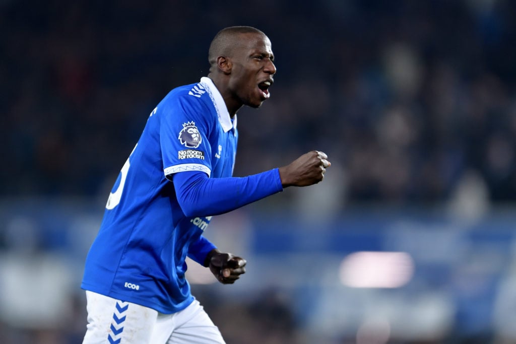 Everton FC v Newcastle United - Premier League