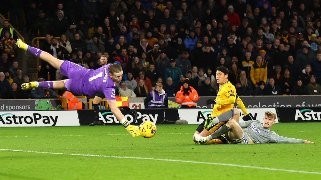 Wolverhampton Wanderers v Everton FC - Premier League