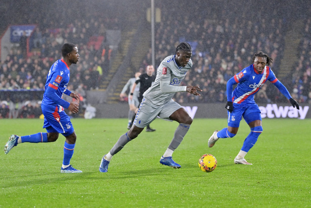 Crystal Palace v Everton - Emirates FA Cup Third Round