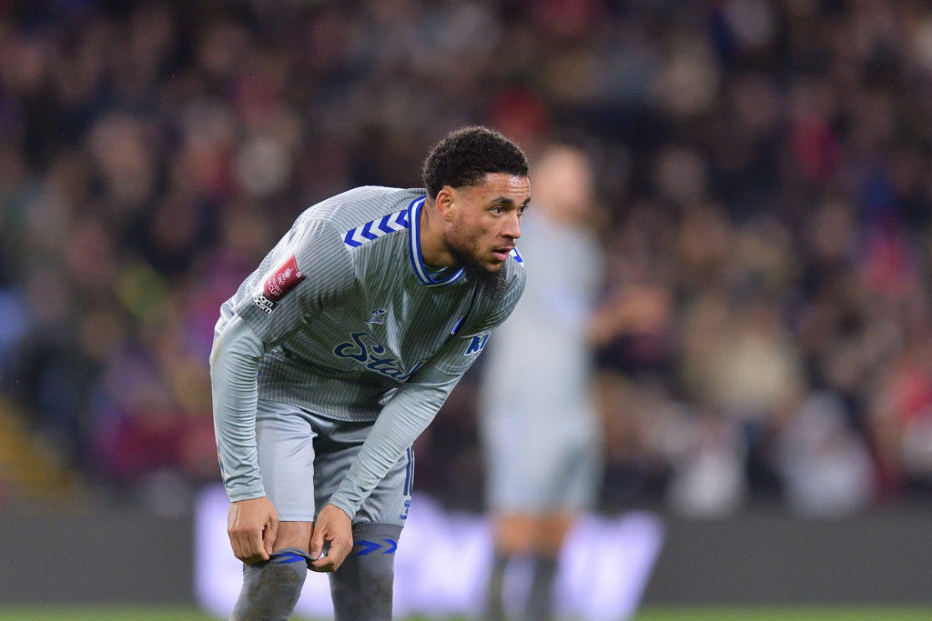 Crystal Palace v Everton - Emirates FA Cup Third Round