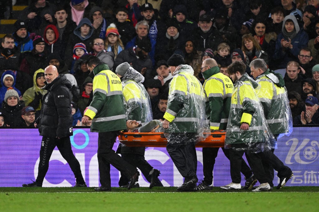 Crystal Palace v Everton - Emirates FA Cup Third Round