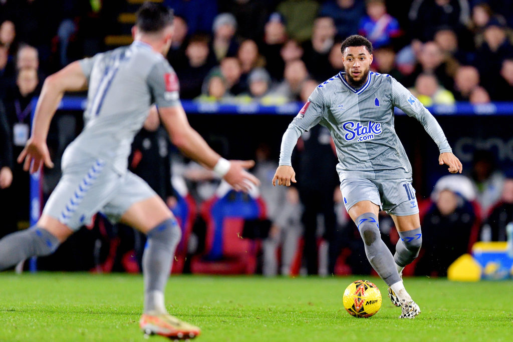 Crystal Palace v Everton - Emirates FA Cup Third Round