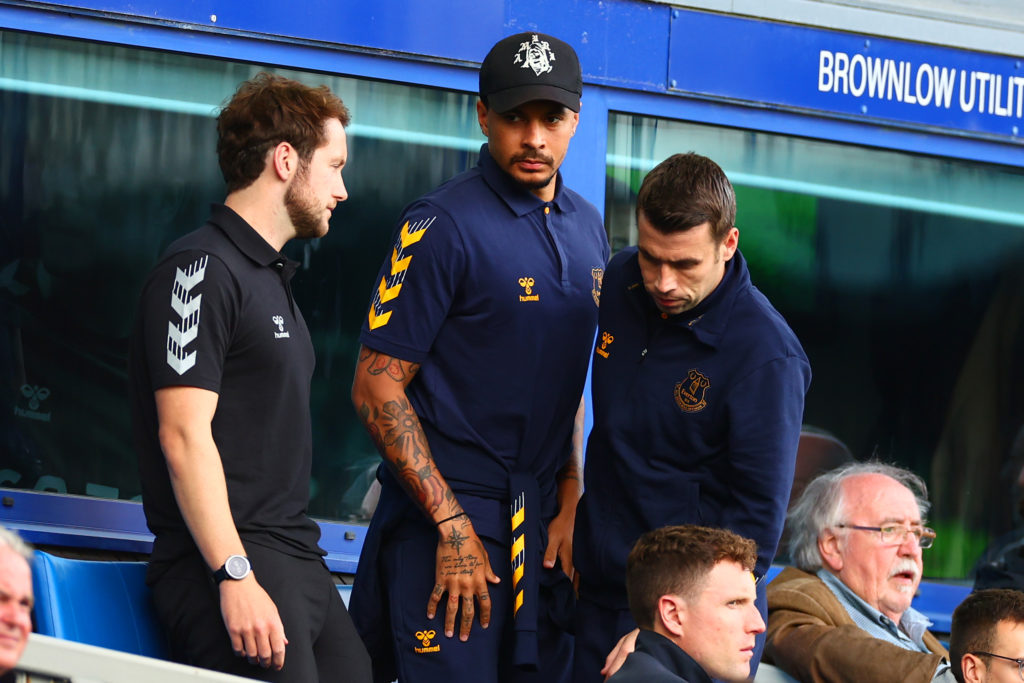 Everton FC v Fulham FC - Premier League
