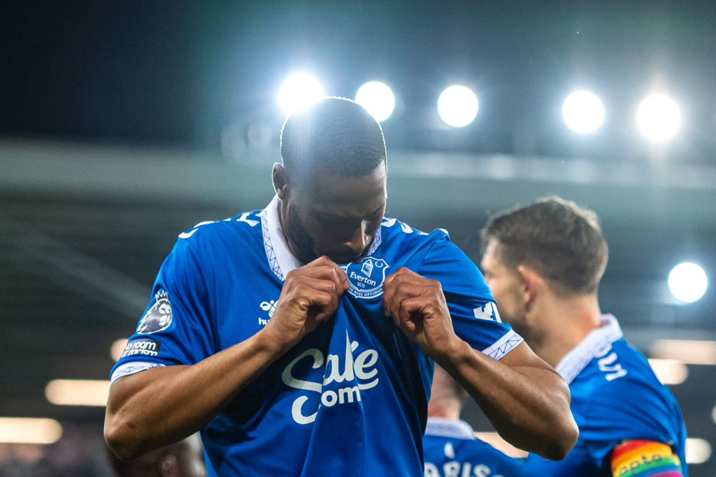 Everton FC v Newcastle United - Premier League