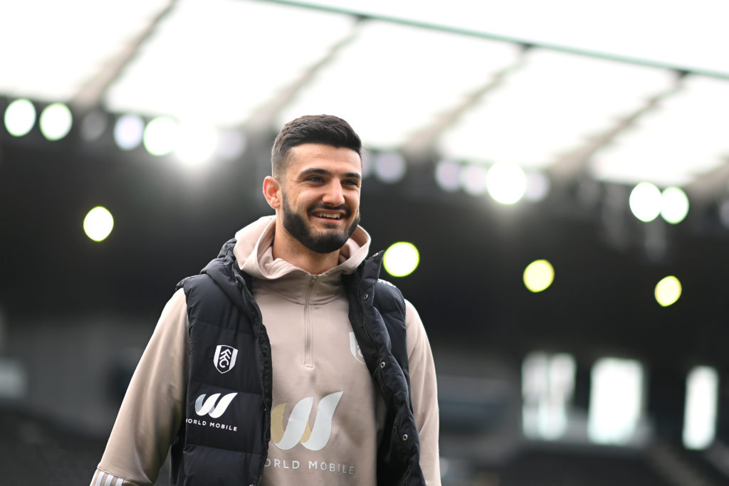Fulham FC v Newcastle United - Premier League