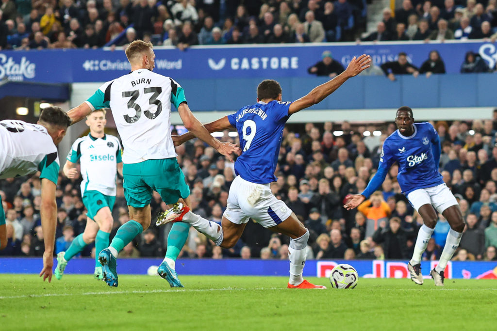 Everton FC v Newcastle United FC - Premier League