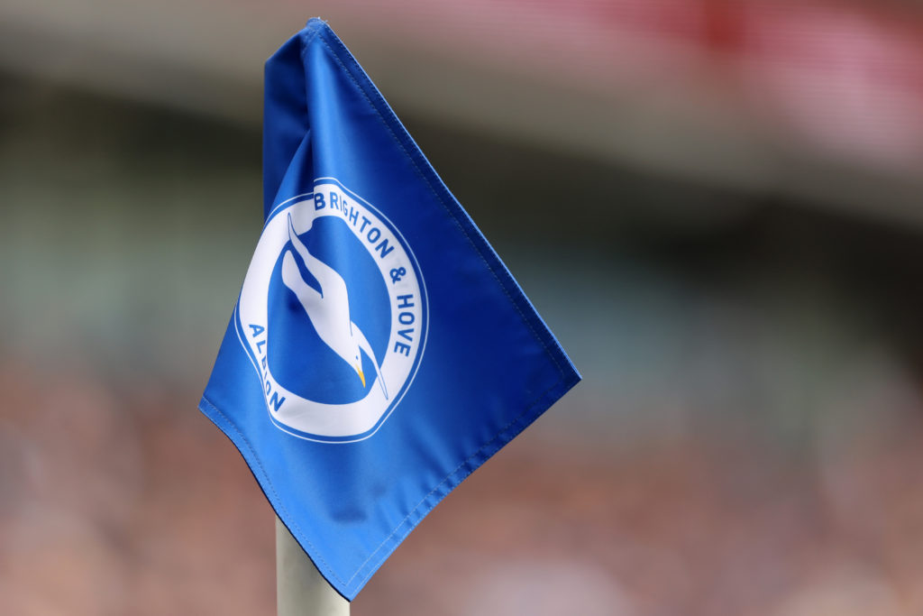 Brighton & Hove Albion v Luton Town - Premier League