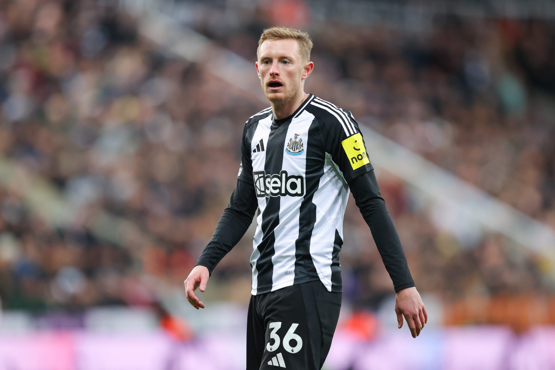 Newcastle United midfielder Sean Longstaff in action.