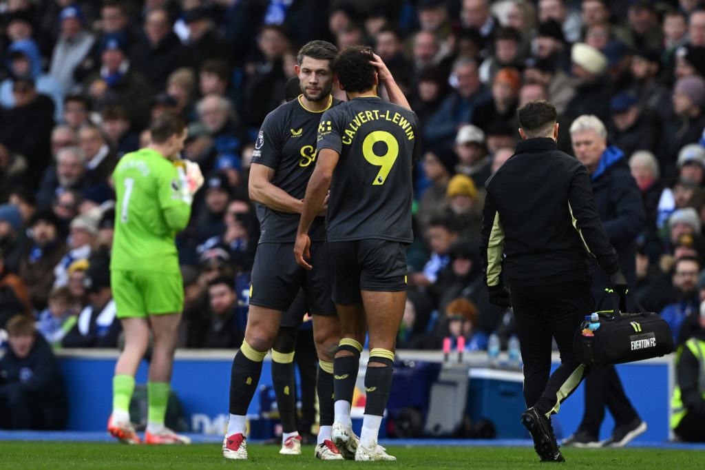 Brighton & Hove Albion FC v Everton FC - Premier League