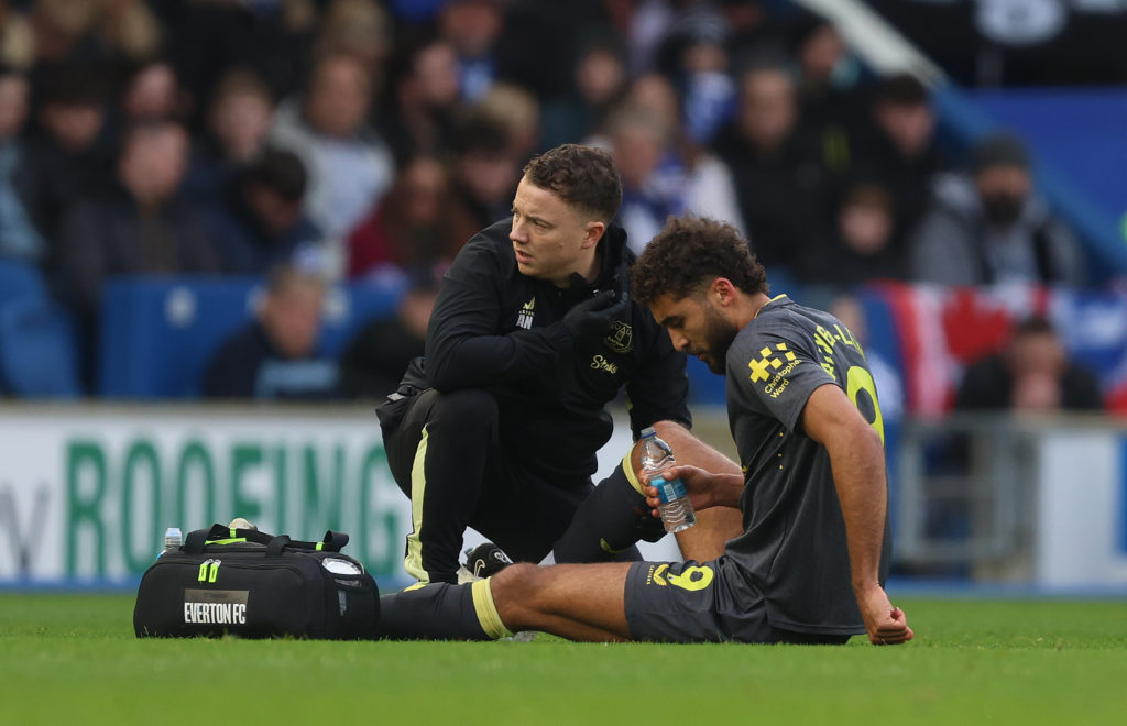 Brighton & Hove Albion FC v Everton FC - Premier League