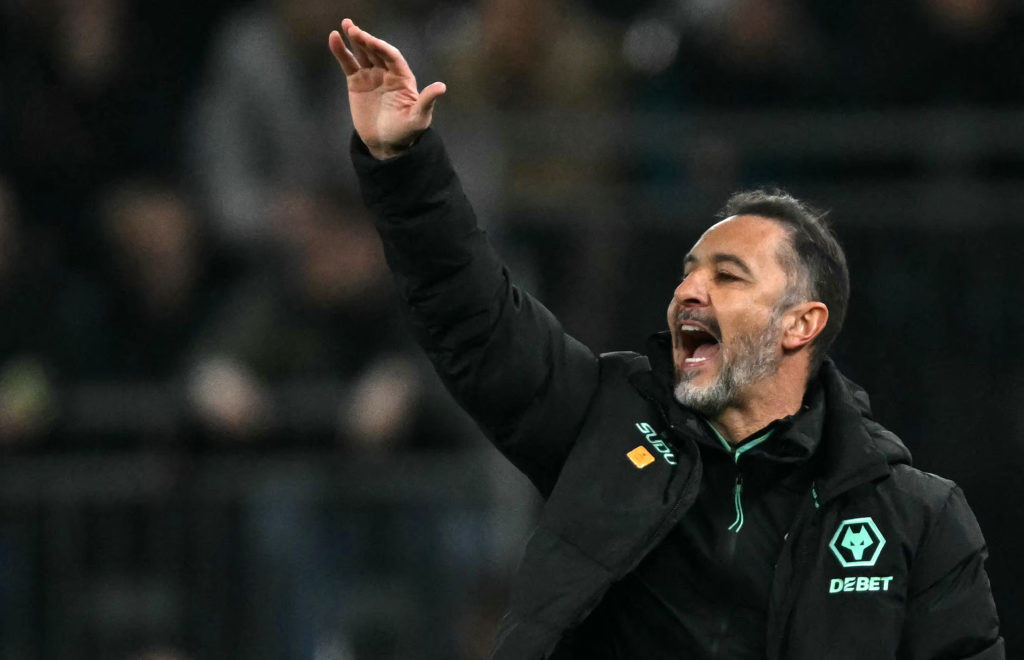 Wolves boss Vitor Pereira.