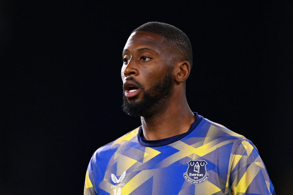 Wolverhampton Wanderers FC v Everton FC - Premier League