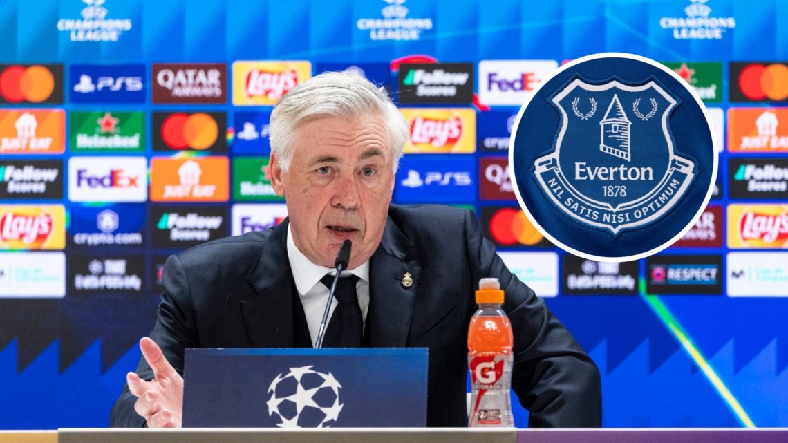 Carlo Ancelotti speaks in a Real Madrid press conference before their Champions League clash.