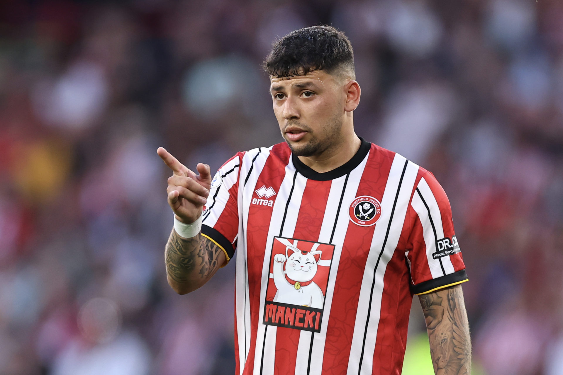 Sheffield United playmaker Gustavo Hamer.