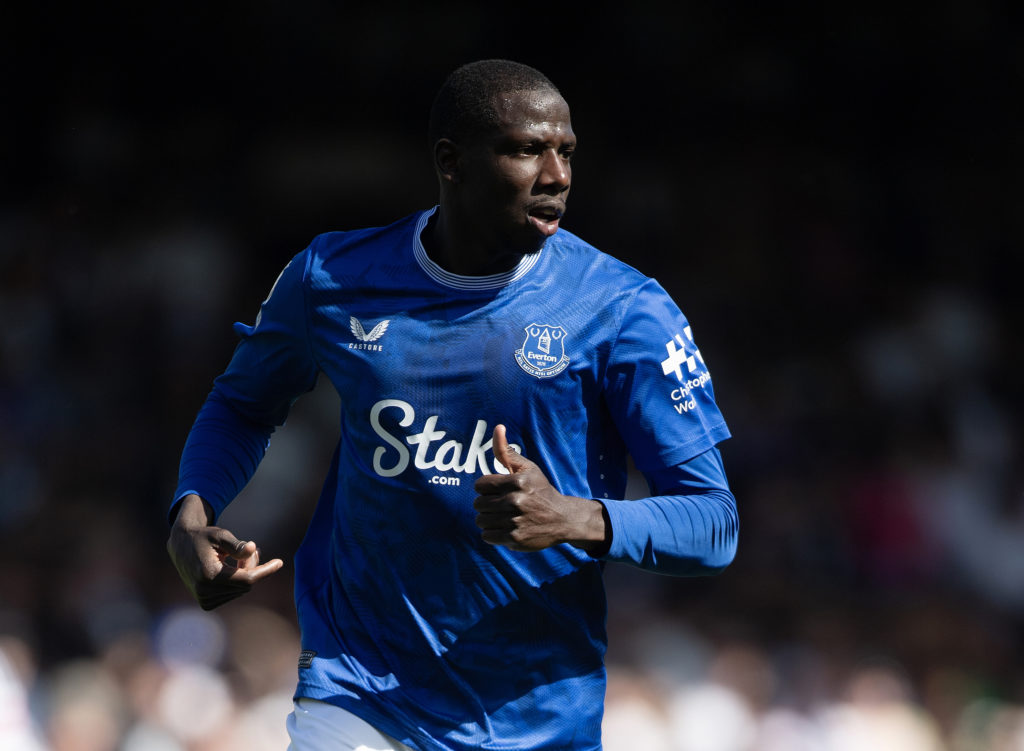 Fulham FC v Everton FC - Premier League