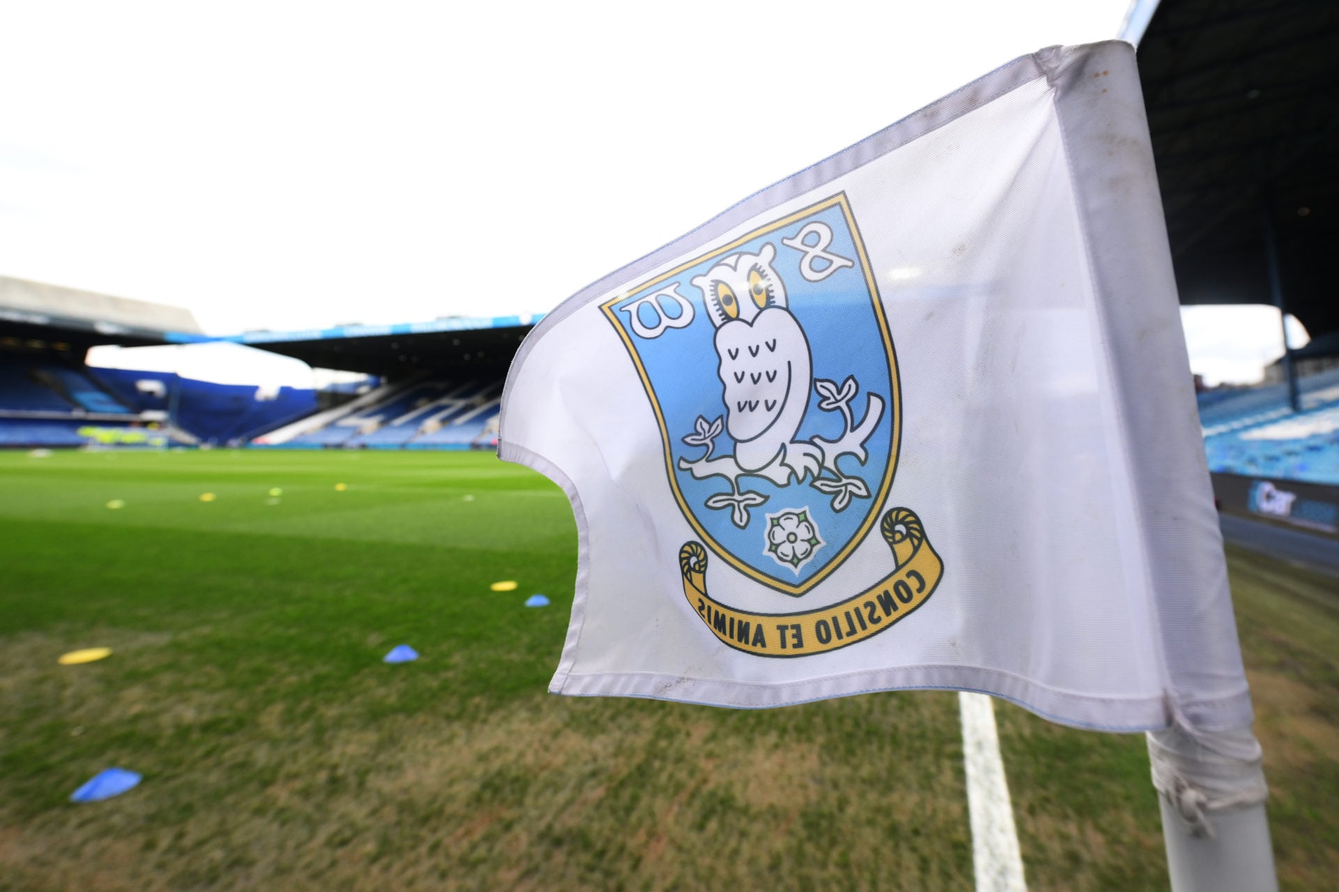 Sheffield Wednesday corner flag.