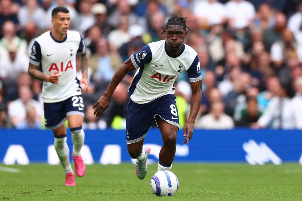 Tottenham Hotspur FC v Brighton & Hove Albion FC - Premier League