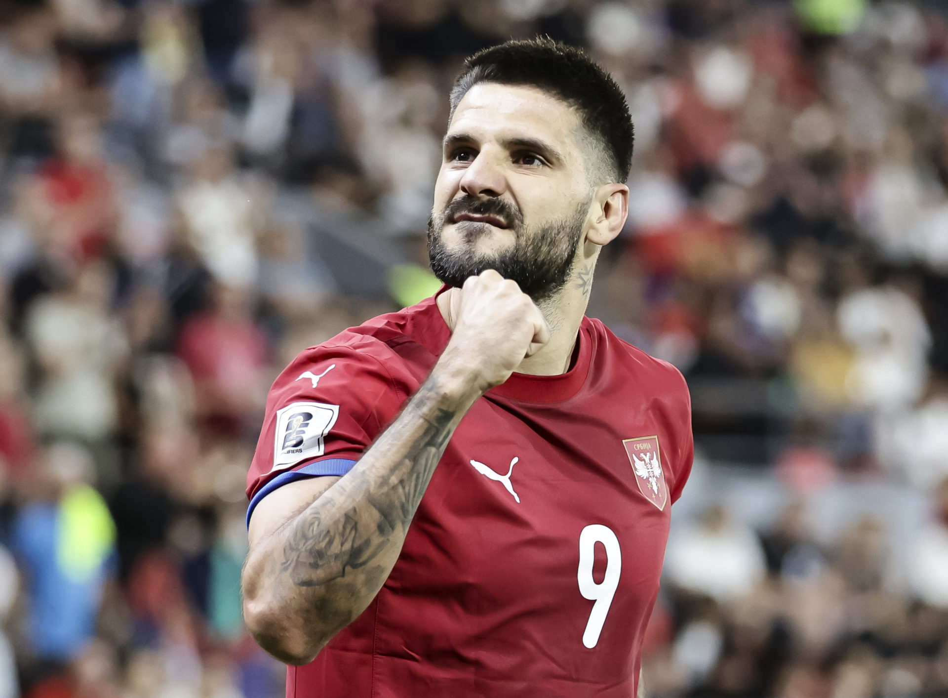 Serbia striker Aleksandar Mitrovic.