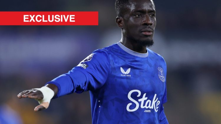 Everton midfielder Idrissa Gana Gueye. Inset of exclusive banner.