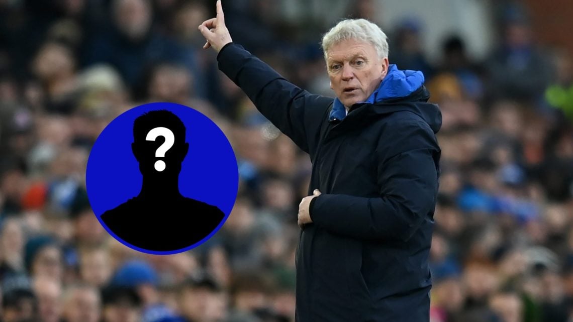 David Moyes points at the crowd as Everton beat Tottenham Hotspur in the Premier League.