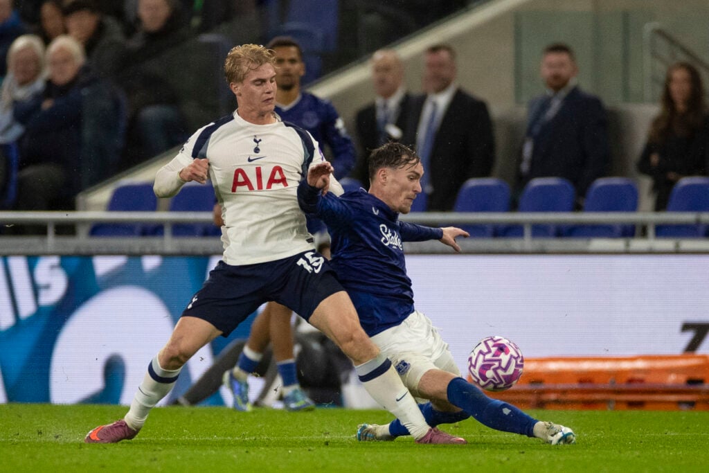 Everton v Tottenham Hotspur - Premier League