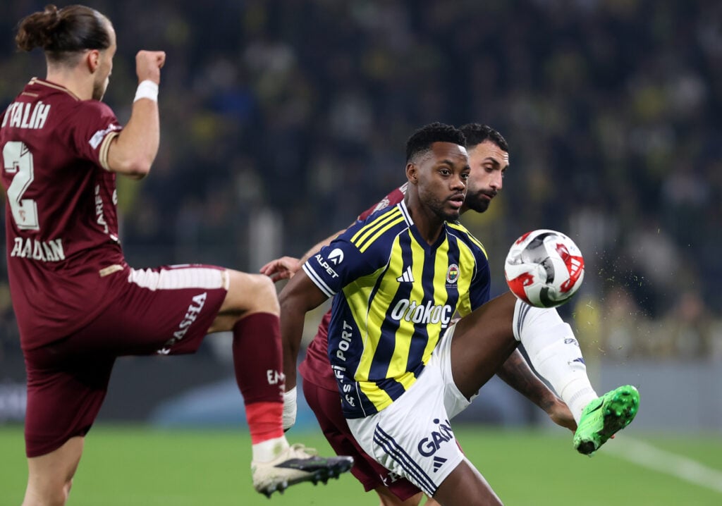 Fenerbahce v Goztepe - Turkish Super Lig