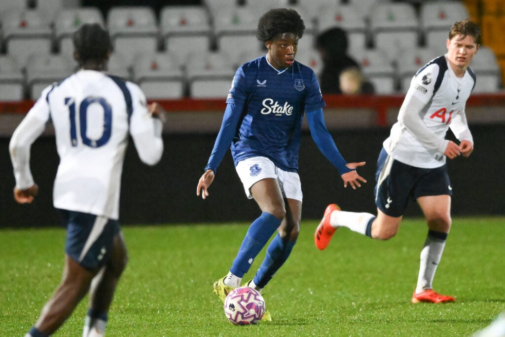 Tottenham Hotspur v Everton - Premier League 2