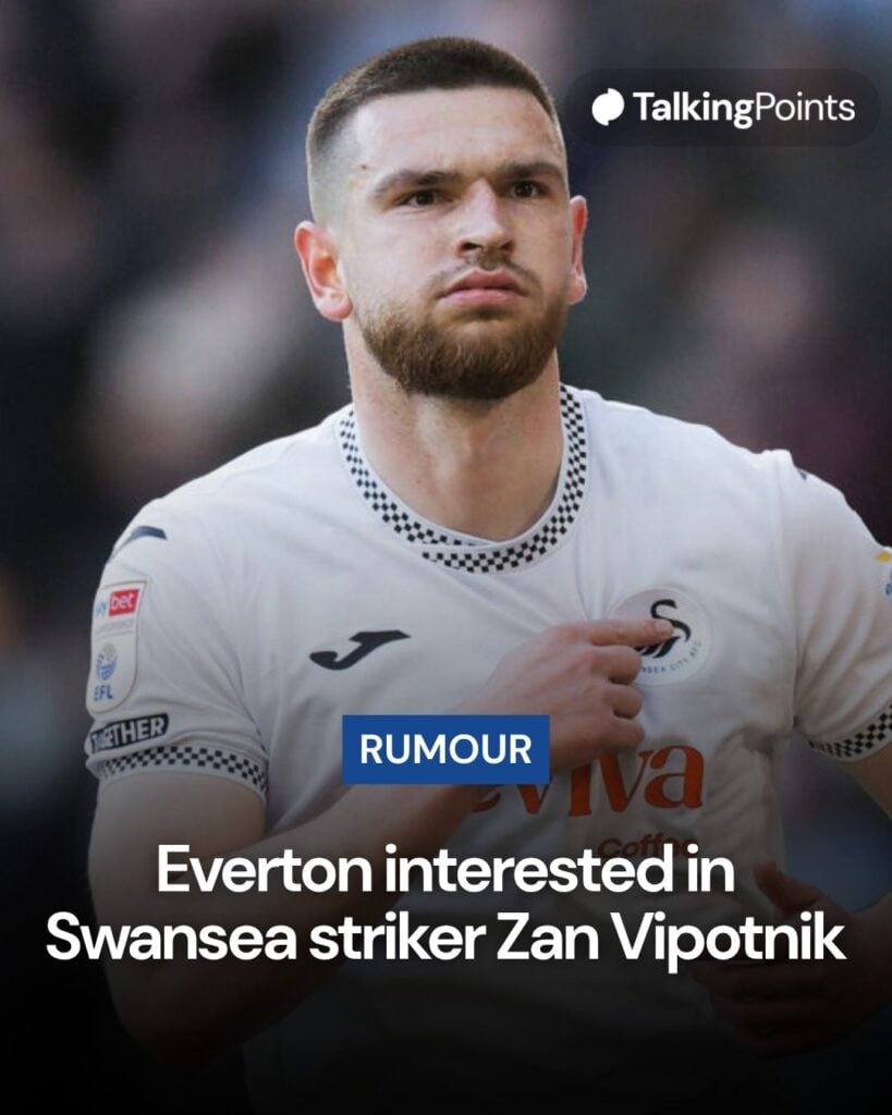 Swansea striker Zan Vipotnik.