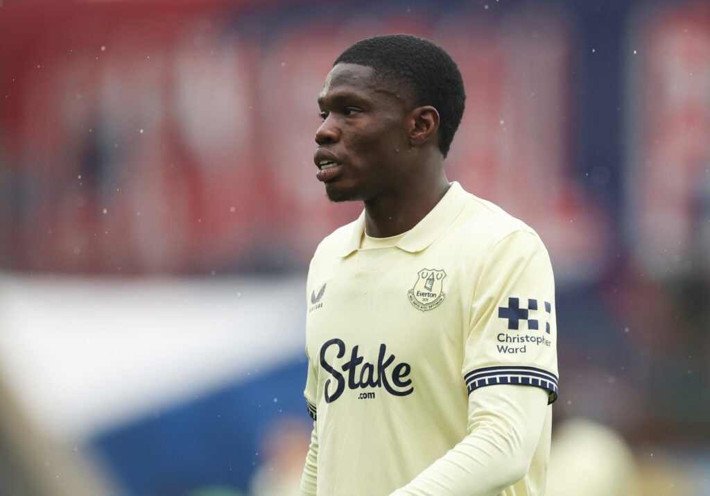 Crystal Palace v Everton - Premier League